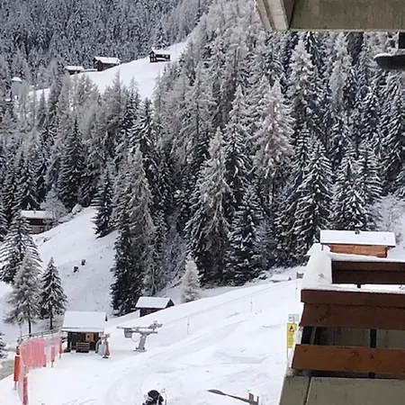 Our Little Marmots' Dream Bruson