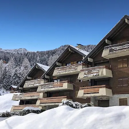 Our Little Marmots' Dream *