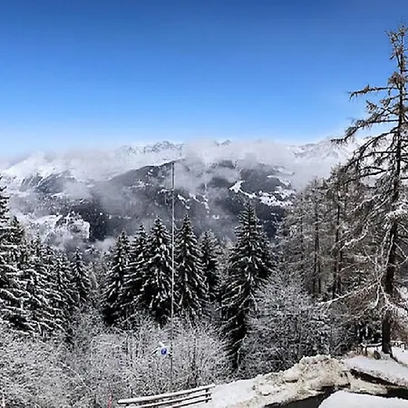 Our Little Marmots' Dream Bruson